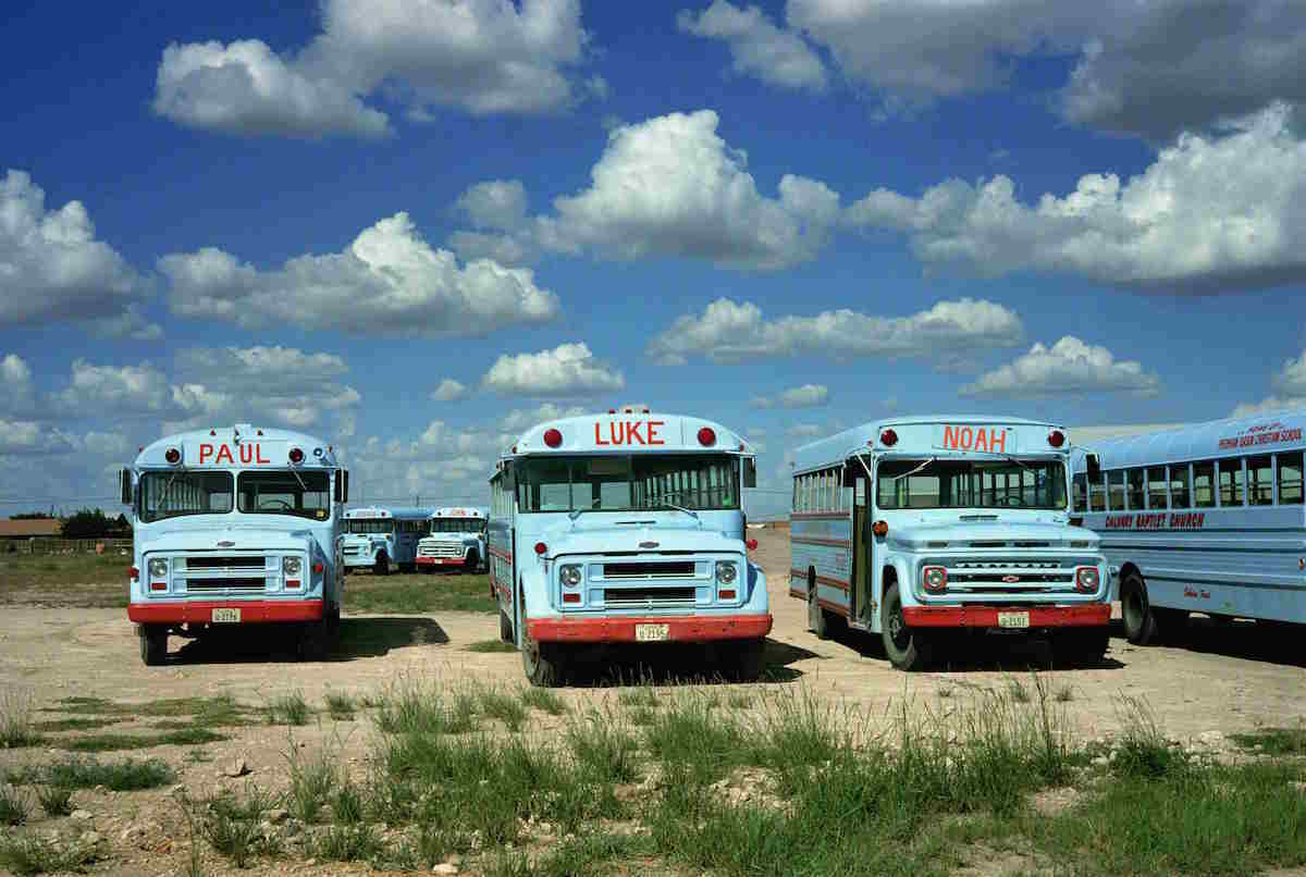 WIM WENDERS
