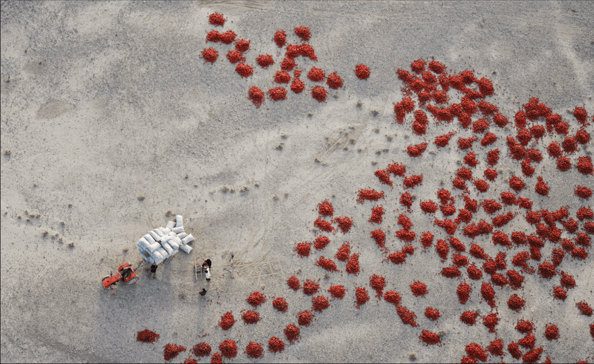 George Steinmetz