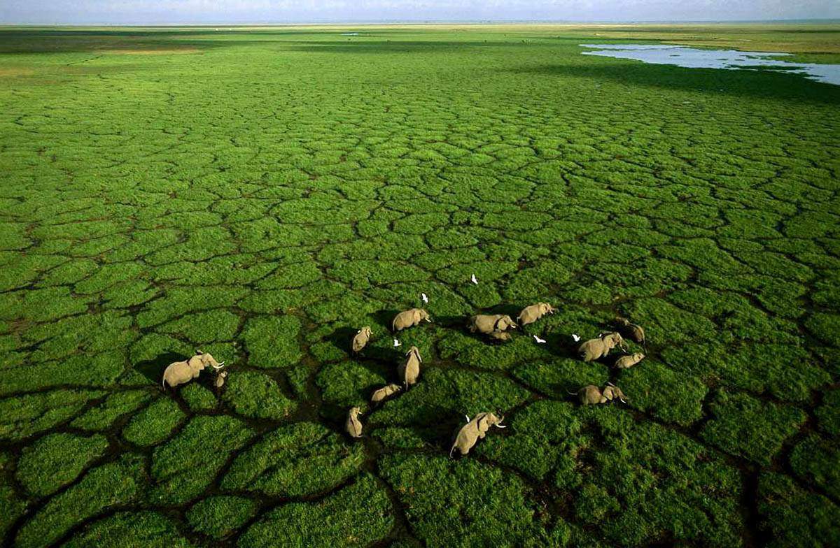 George Steinmetz