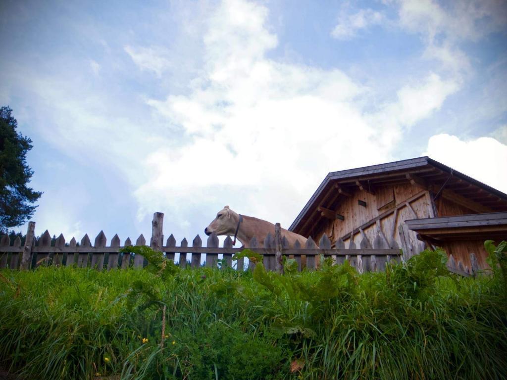 Froneben Gasthaus Ristorante Moso BZ- istantidigitali - Massimiliano Scarpa photographer