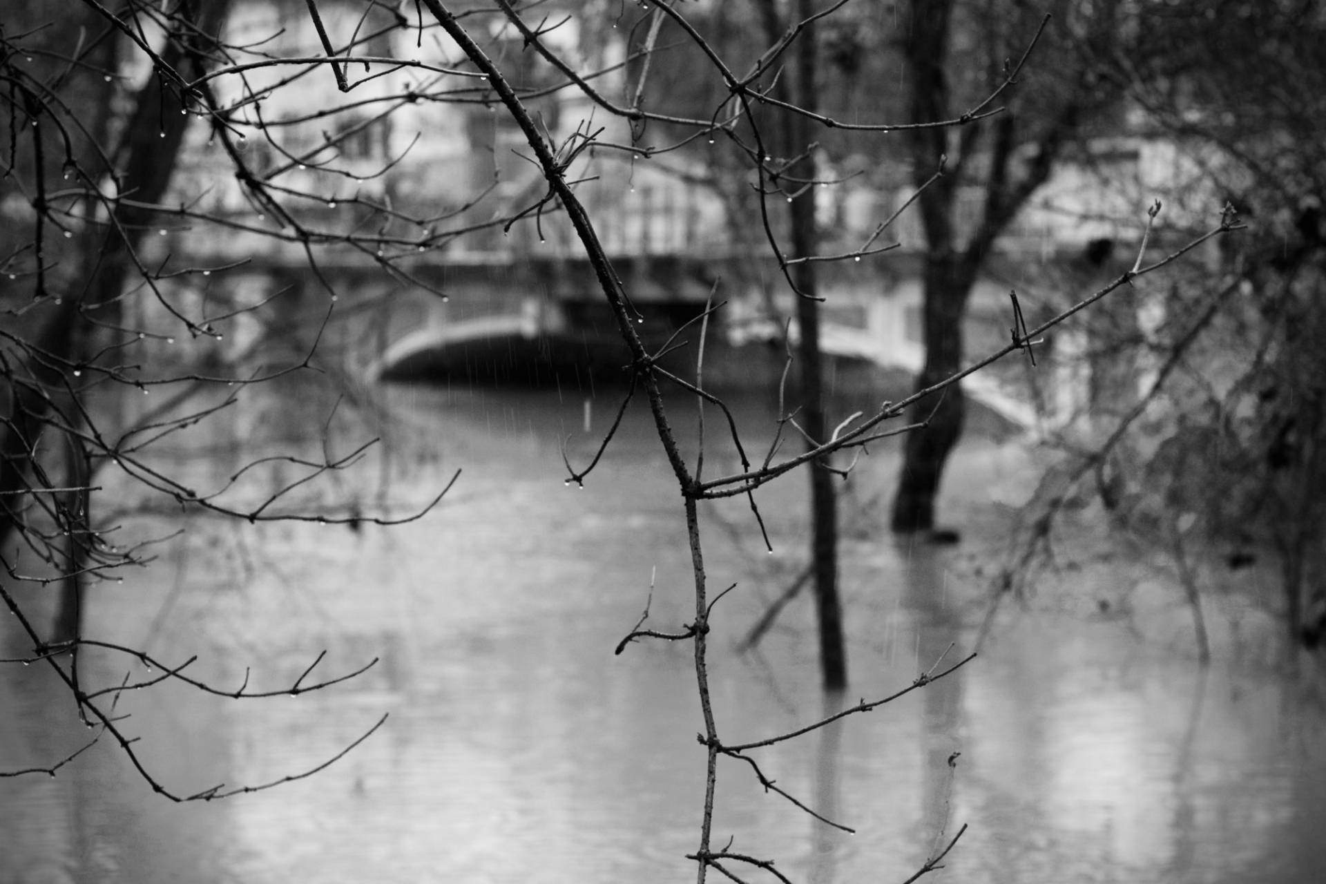 Ponte di Adamo ed Eva massimiliano-scarpa-istantidigitali-pordenone-alluvione-2014-19-di-50