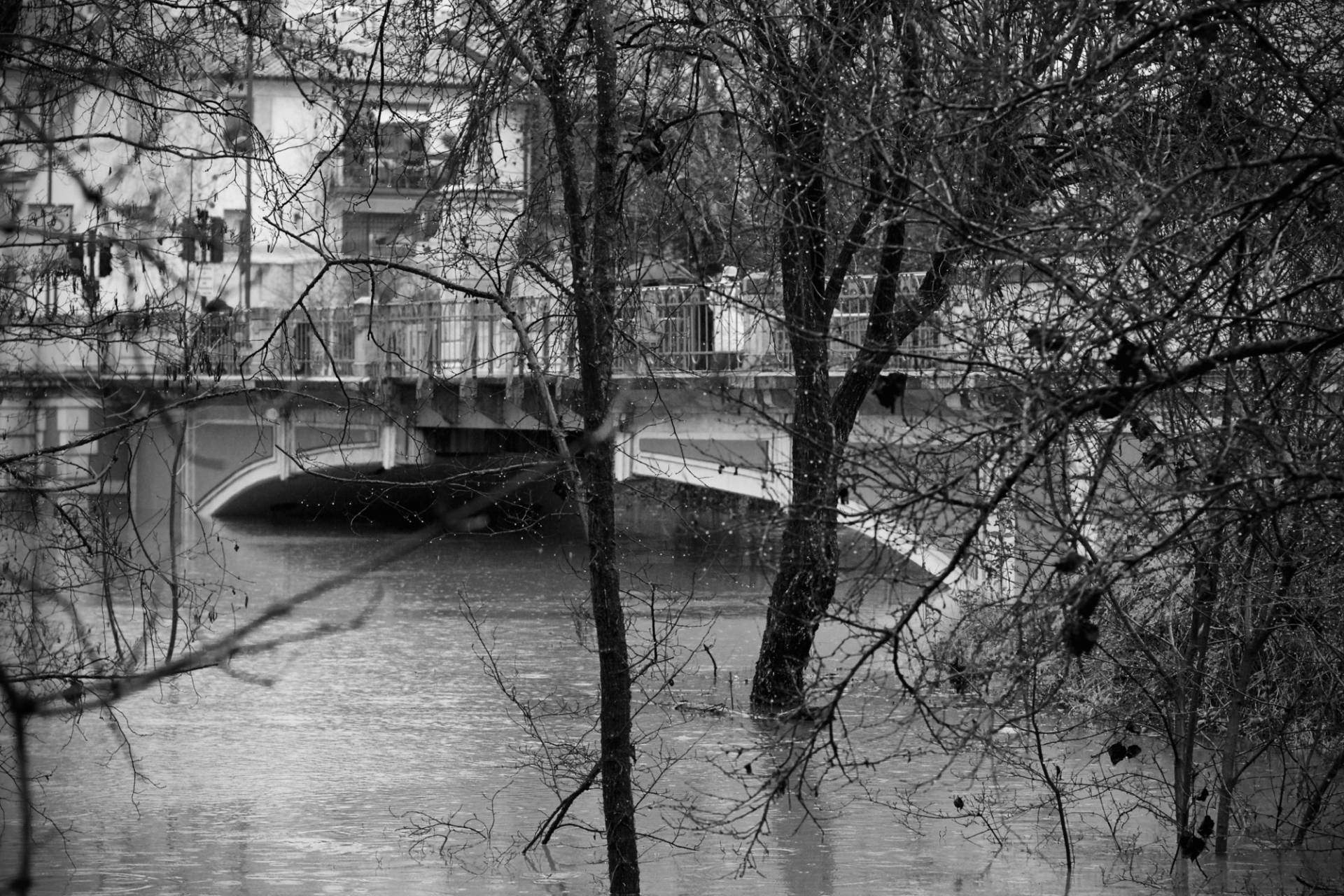 Ponte di Adamo ed Eva massimiliano-scarpa-istantidigitali-pordenone-alluvione-2014-19-di-50