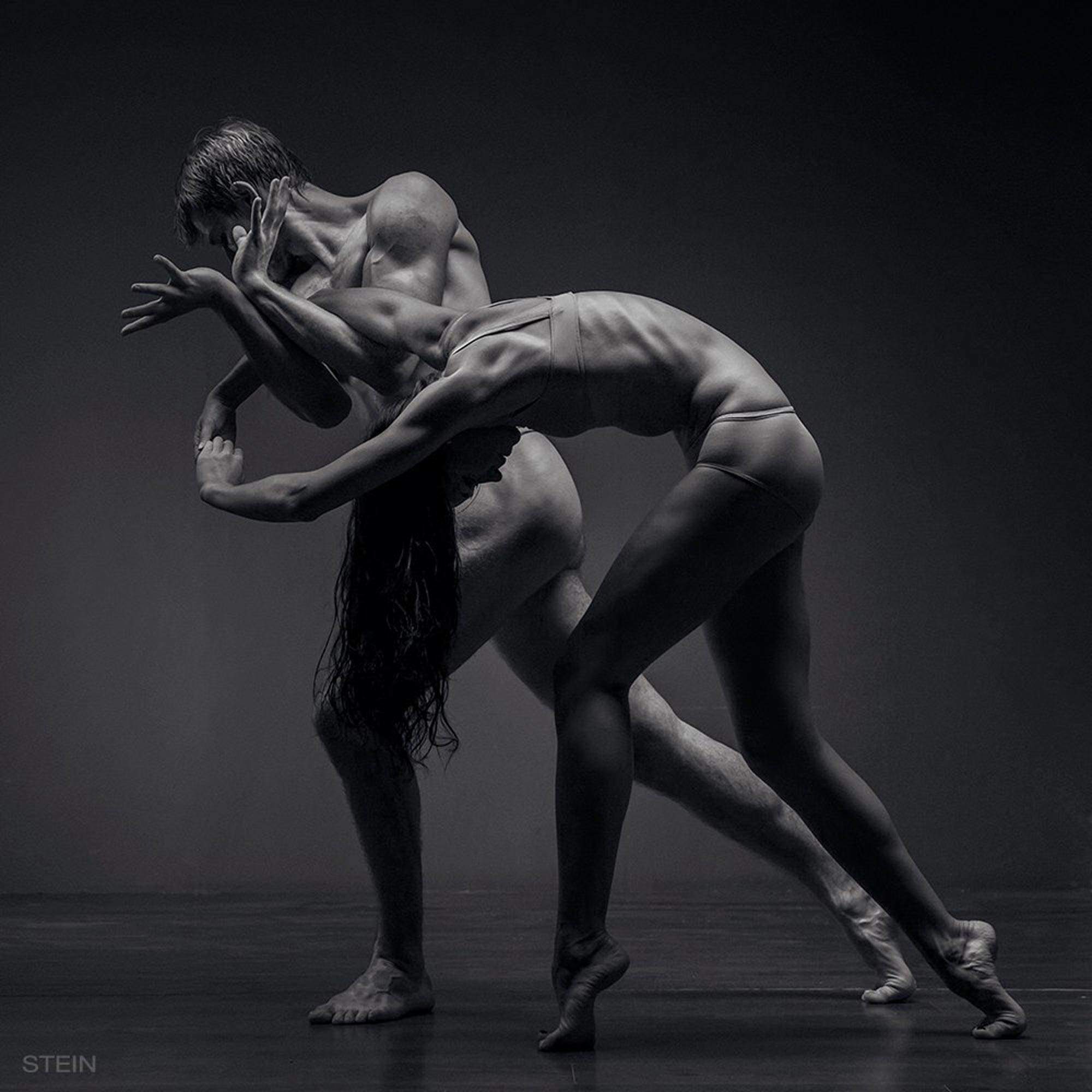 vadim-stein_003