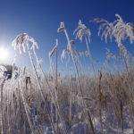 HD PENTAX-DA★11-18mmF2.8ED DC AW_immagine esempio_Foto di Yoshiaki Kobayashi