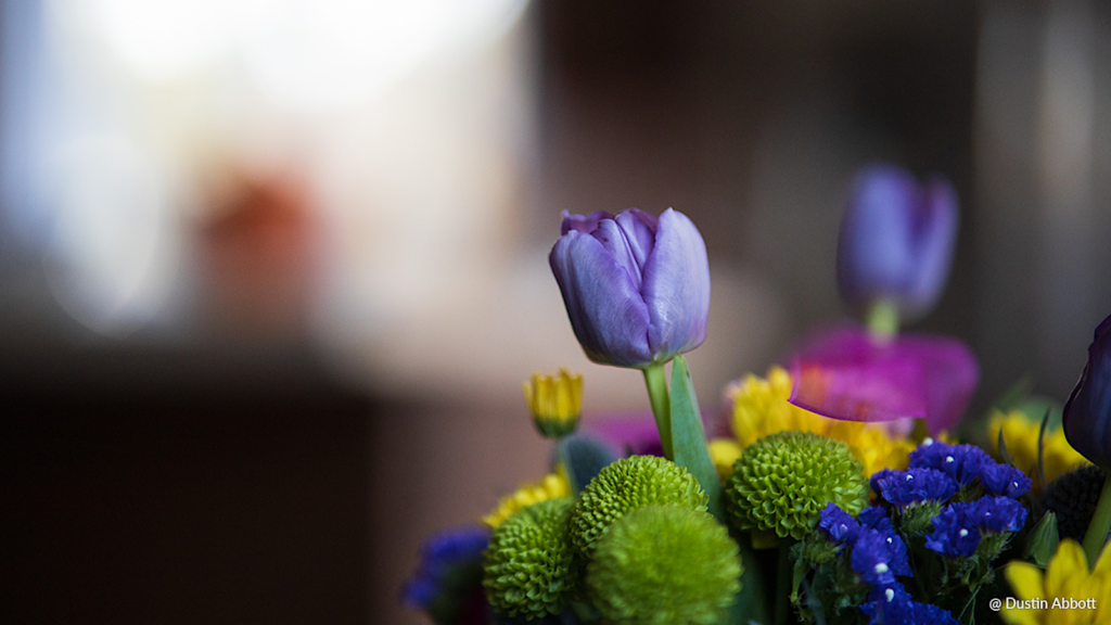 Samyang AF 85mm F1.4 RF